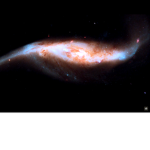 The Galaxy Members