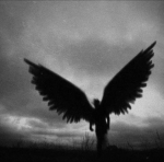 Echoes of Night