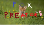 fox predators