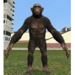 DA LEGENDARY MONKEYS