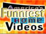 afv fans