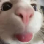 "eloise!"