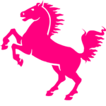 The Pink C Horse Fan Group