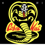 Robby kai karate