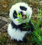 PANDA SQUAD UNITE