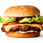 The Hamburger of The United States of America