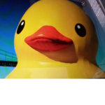 Ducky cute group