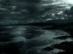 Marine Discoveries