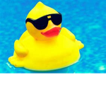 GooseLands Official