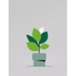 Planty wanny