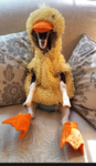 Ducky time squad