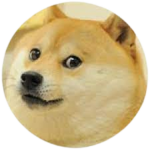 The amazing doge clan