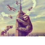 Sloths United!!