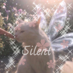 ѕιℓєит