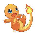 Charizard amy
