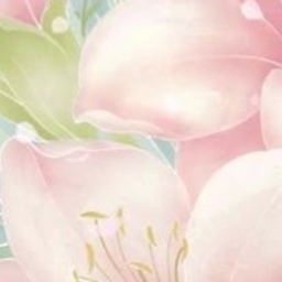 ❀࿐
