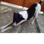 Rayna :D