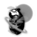 Grayscale Solar Chomik