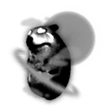 Grayscale Solar Chomik
