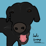 Ladis's group