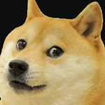 Doge King's Fan Club!