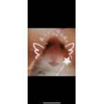 Nickelsfanmerch