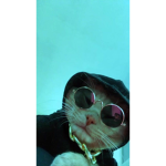 Aestheticz Ice