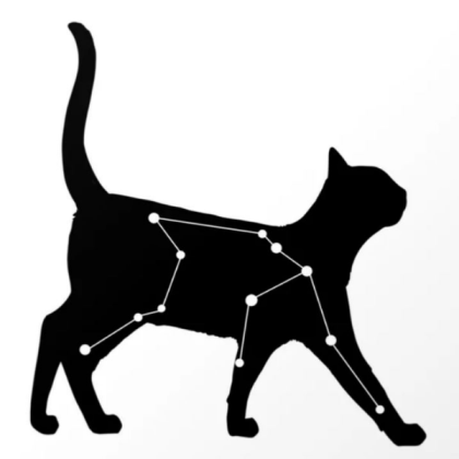 [TRENDY] aquarius cat Roblox decal