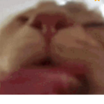 xoro
