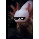 The Axolotl pro Army