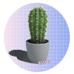 Cactus.army