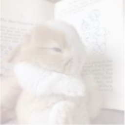 ୨୧