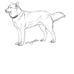 dog fan dog