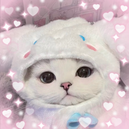 ,, . ; ☆