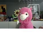 random llama