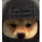 Join if you like a dogs