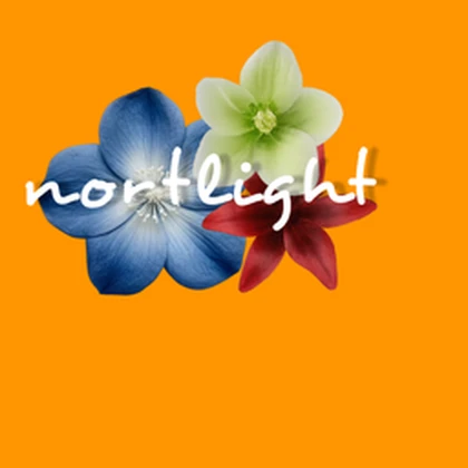 nortlight Roblox group icon