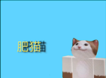 河南郑州市RP