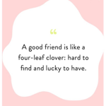 my bff/friend squad