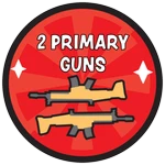 2 Primary Guns