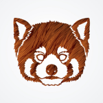 ~ Red Panda ~
