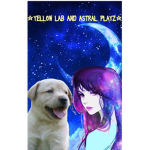 Astral & Yellow's: Fan Group