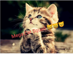 Mega Cat Squad