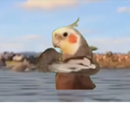 Bird Hangout