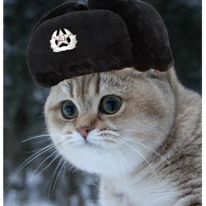 USSR, The Motherland Roblox group icon
