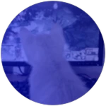 caption=Badge