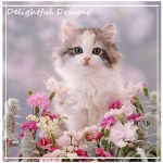 Delightful Designs!