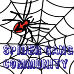 The spiders group