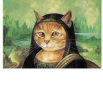 Cat Kingdoms.