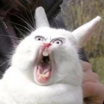 =SWEETIE RATS OF RATLAND=